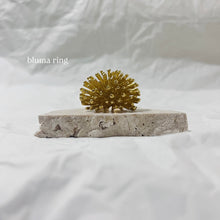 Load image into Gallery viewer, Bluma &amp; Aro lítico no.2 rings
