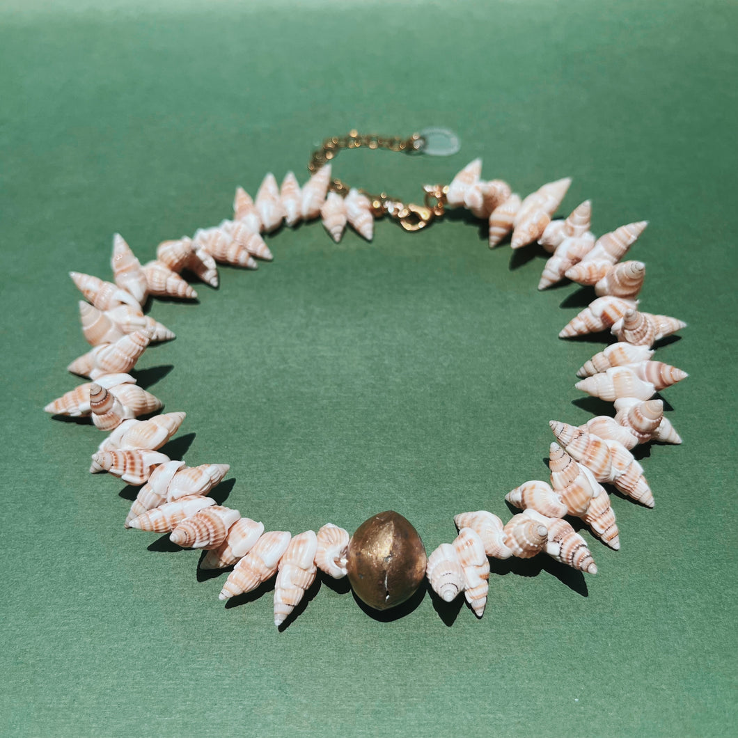 Shell no.1